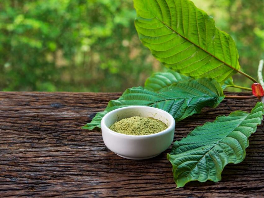 The Green Maeng Da Kratom Buying Experience: What to Expect